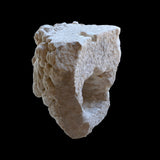 Roman Marble Lion Head Protome