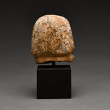 Egyptian Painted Sandstone Head of an Official