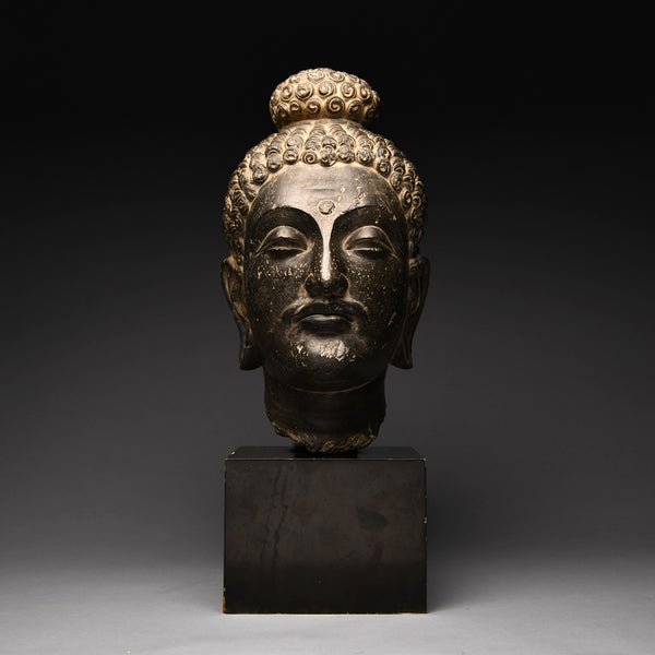 Gandharan Black Schist Head of a Bodhisattva