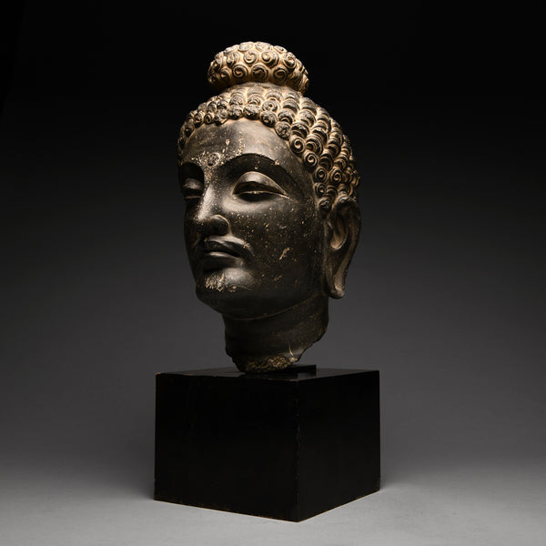 Gandharan Black Schist Head of a Bodhisattva