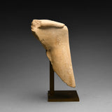 Egyptian Limestone Fragment of a Seated Figure