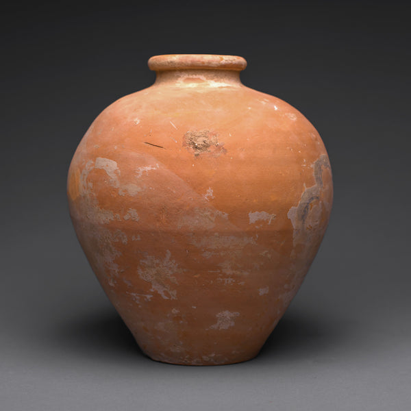 Roman Storage Jar with Floral Motif