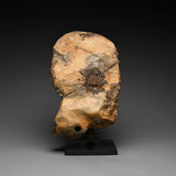 Hellenistic Marble Head of Alexander the Great