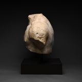Imperial Roman Marble Torso Fragment of a Heroic Male Youth