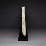 New Kingdom Limestone Relief Panel