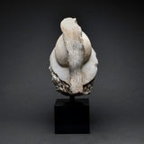 Roman Marble Head of Ares