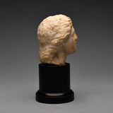 Hellenistic Marble Head of Venus
