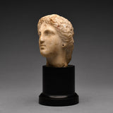Hellenistic Marble Head of Venus